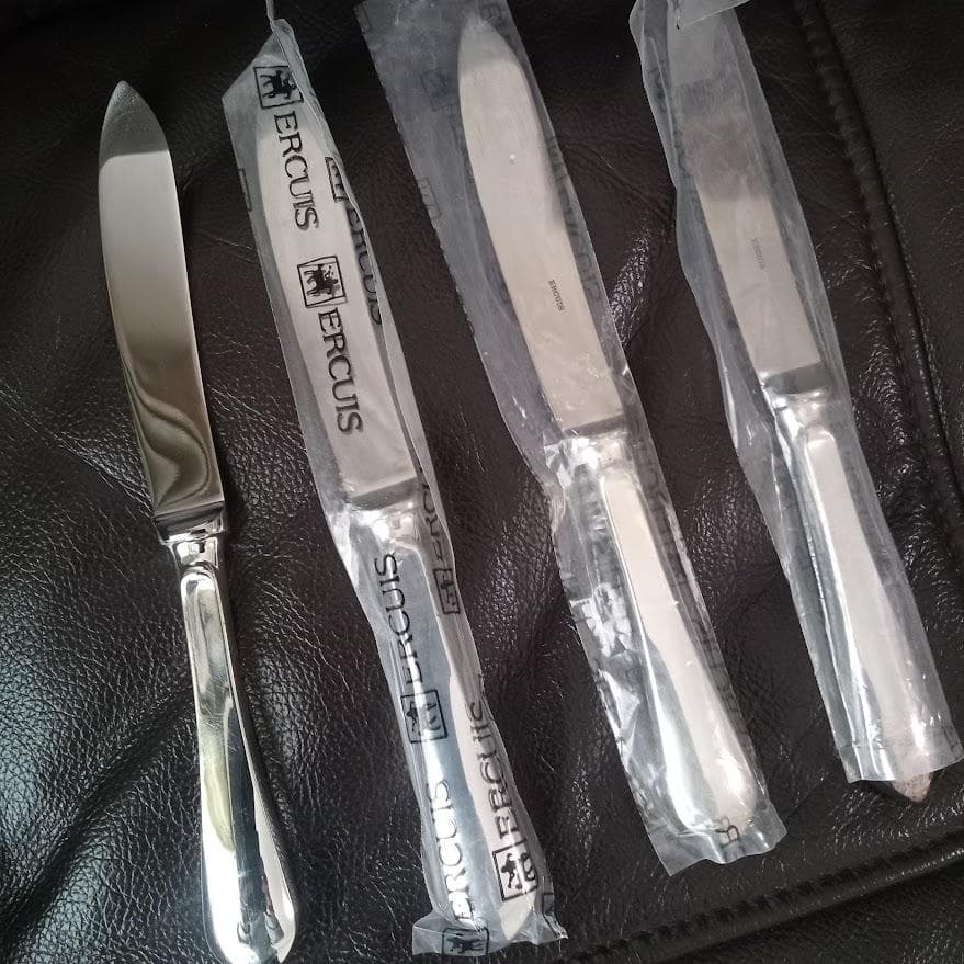 ERCUIS 100 カトラリー12点 未使用多数 専用ケース付 フランス製