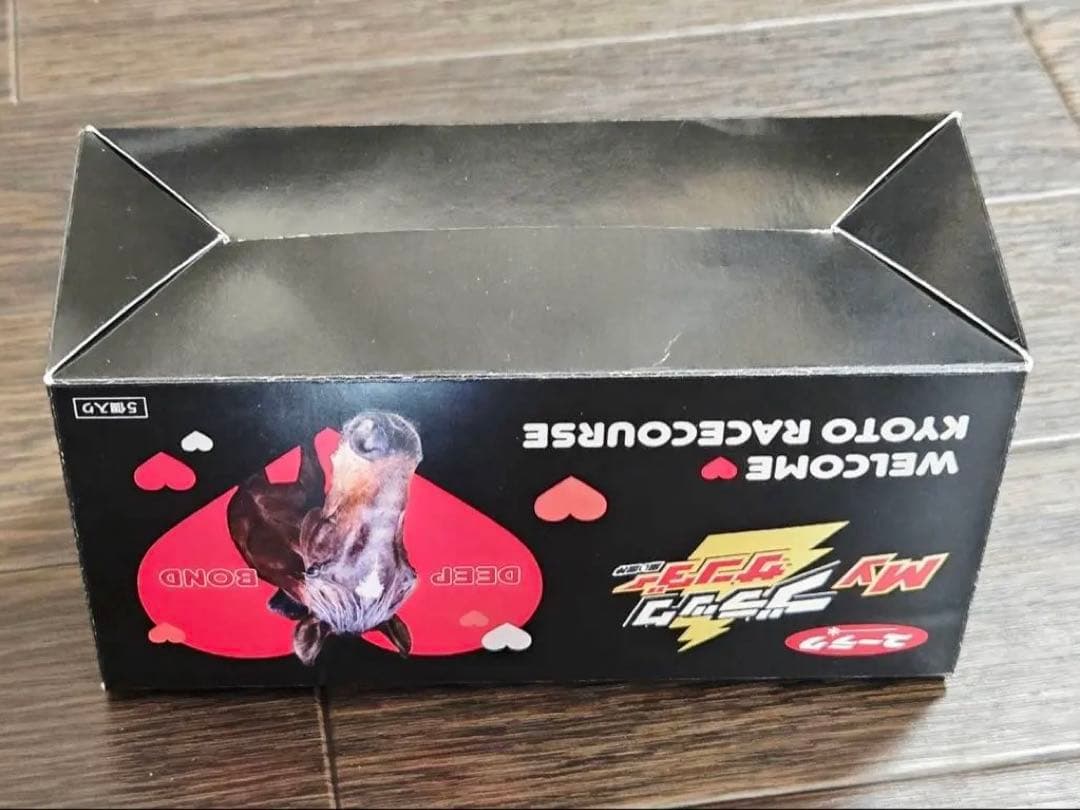 JRA 京都競馬場 Welcomeチャンス ディープボンドブラックサンダー