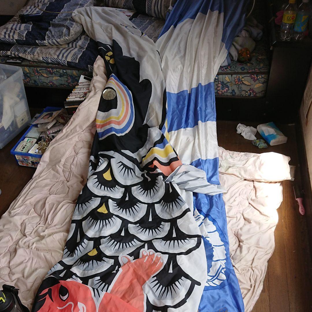 レオナ鯉のぼり