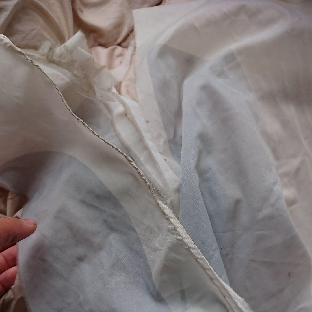 レオナ鯉のぼり