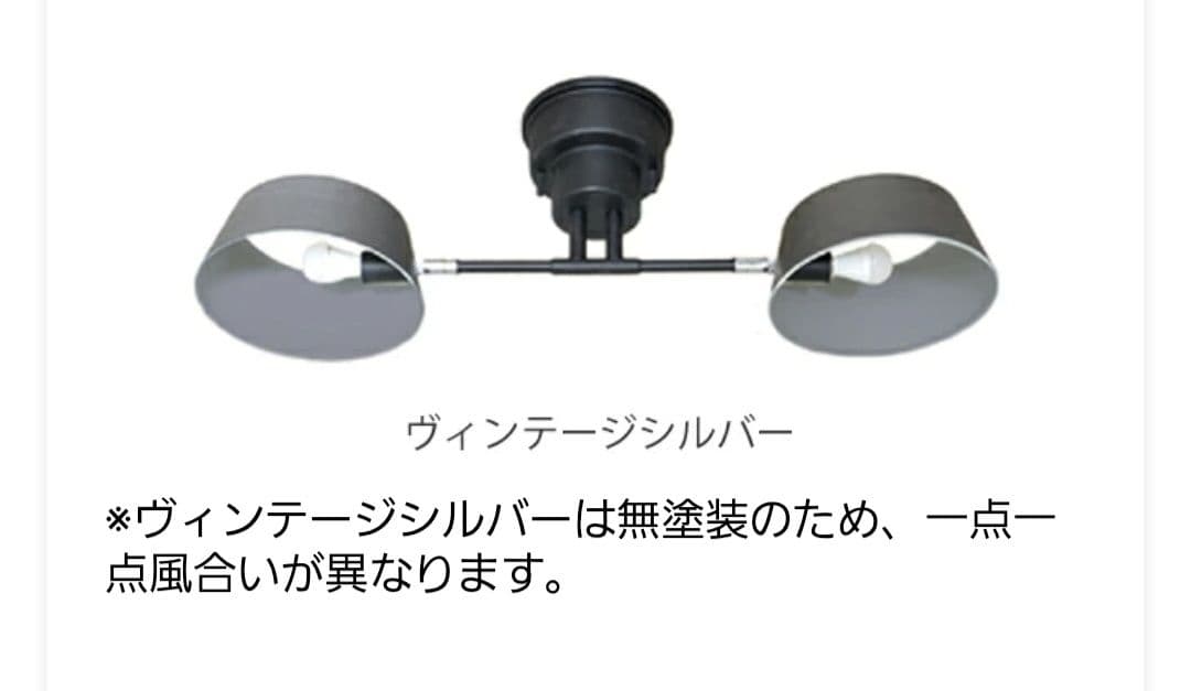 2灯スポットライト シーリング カピエンテ2 LuCerca 美品 おしゃれ