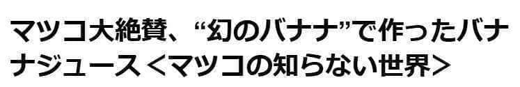 準親株。255㎝来夏収穫濃厚◆ドワーフ・ヌアンジュンバナナ◆TV放映。低木耐寒強