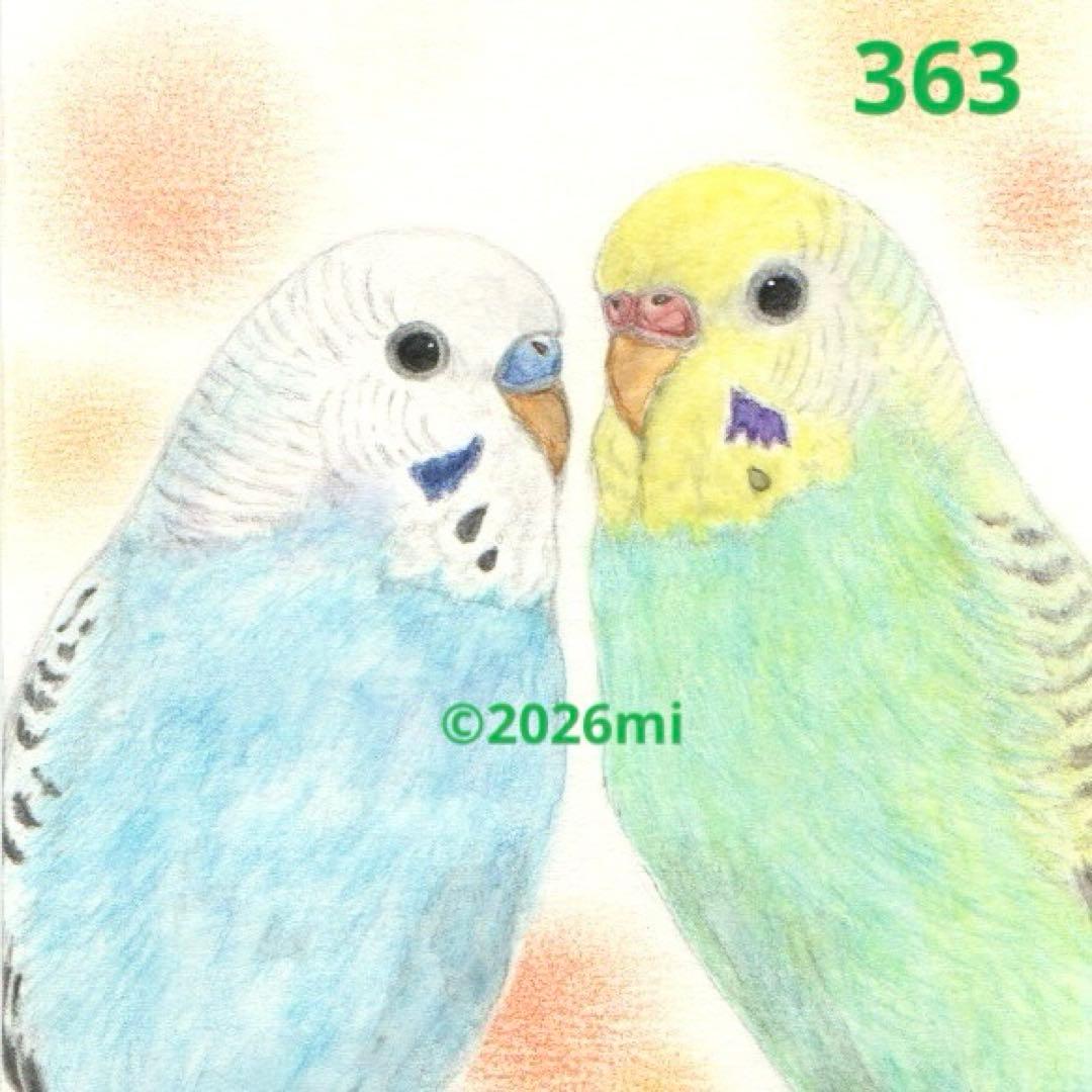 セキセイインコ イラスト363 『仲良し♪』手描き 原画 水彩色鉛筆