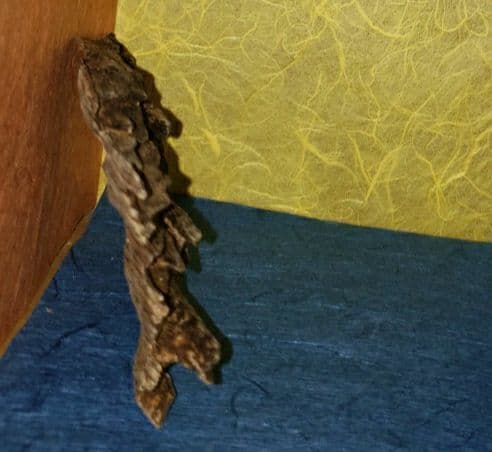 沈香、伽羅、六国五味、聞香、香木「ベトナム・フエ産 特上14,1」15