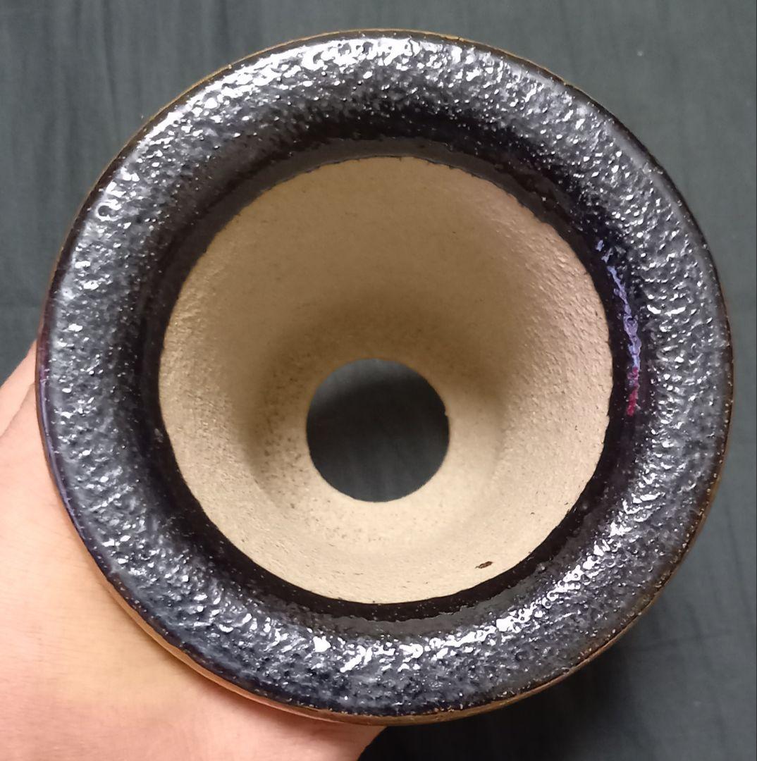 ☆錦鉢☆万年青鉢☆赤唐草宝珠☆布施覚作品