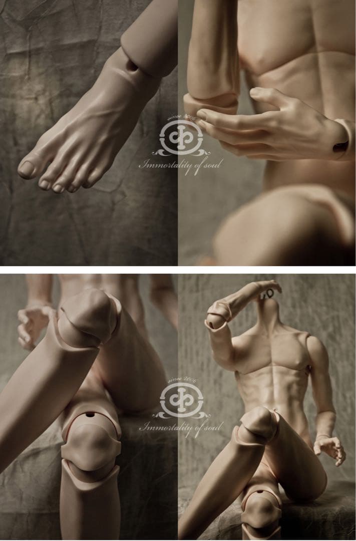 i.o.sdoll80 キャストドール スーパードルフィー