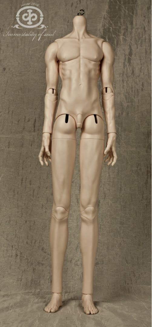 i.o.sdoll80 キャストドール スーパードルフィー