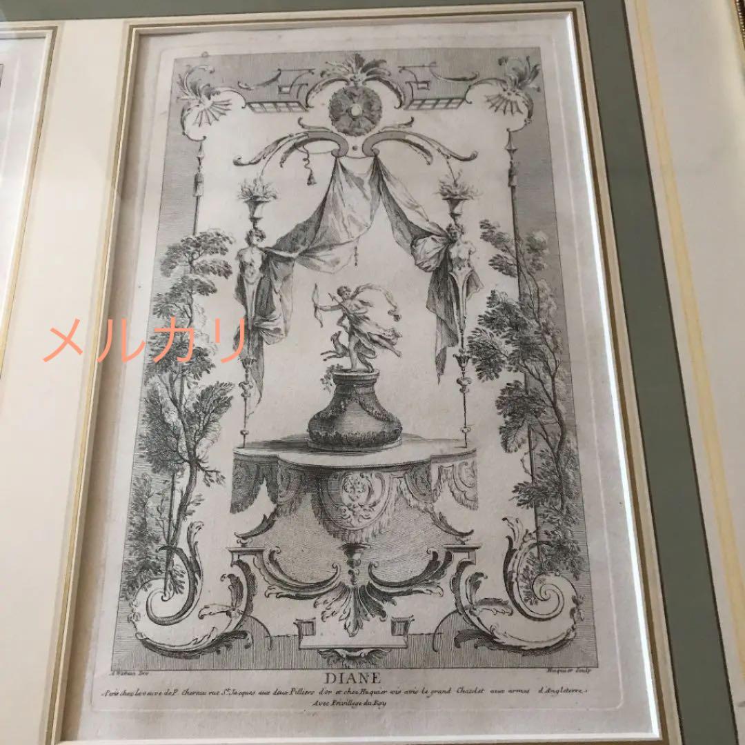 ダイアン　アポロン　最大サイズ　版画　エッチング