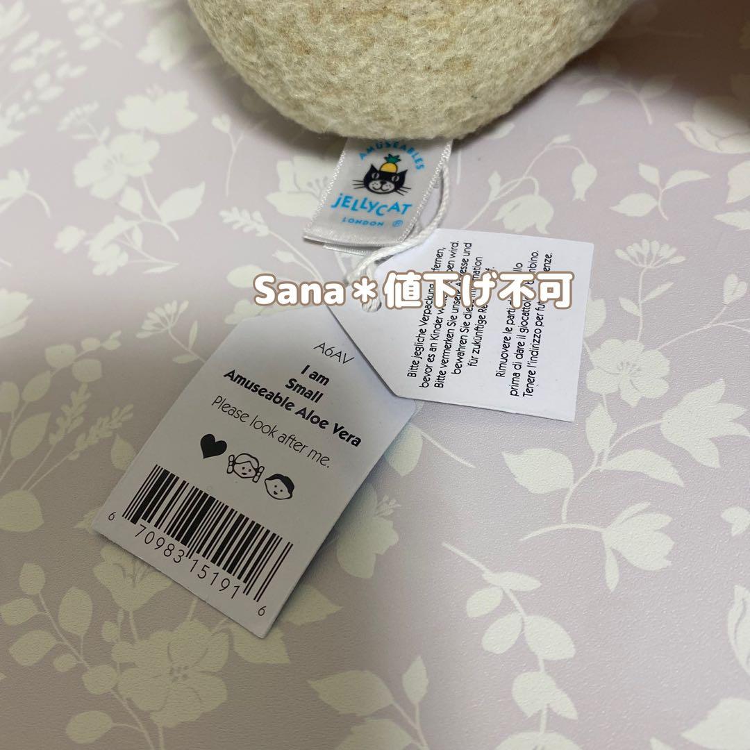 新品 JELLY CAT アロエ 植物 多肉植物 アロエベラ 観葉植物 緑 - メルカリ