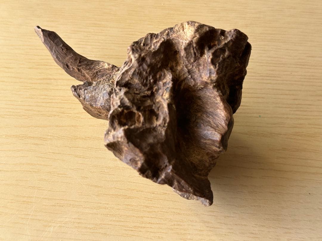 沈香　香木　インドネシア産