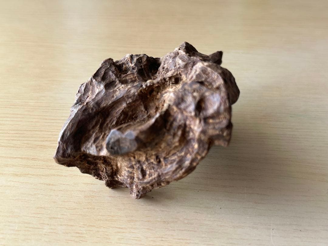 沈香　香木　インドネシア産