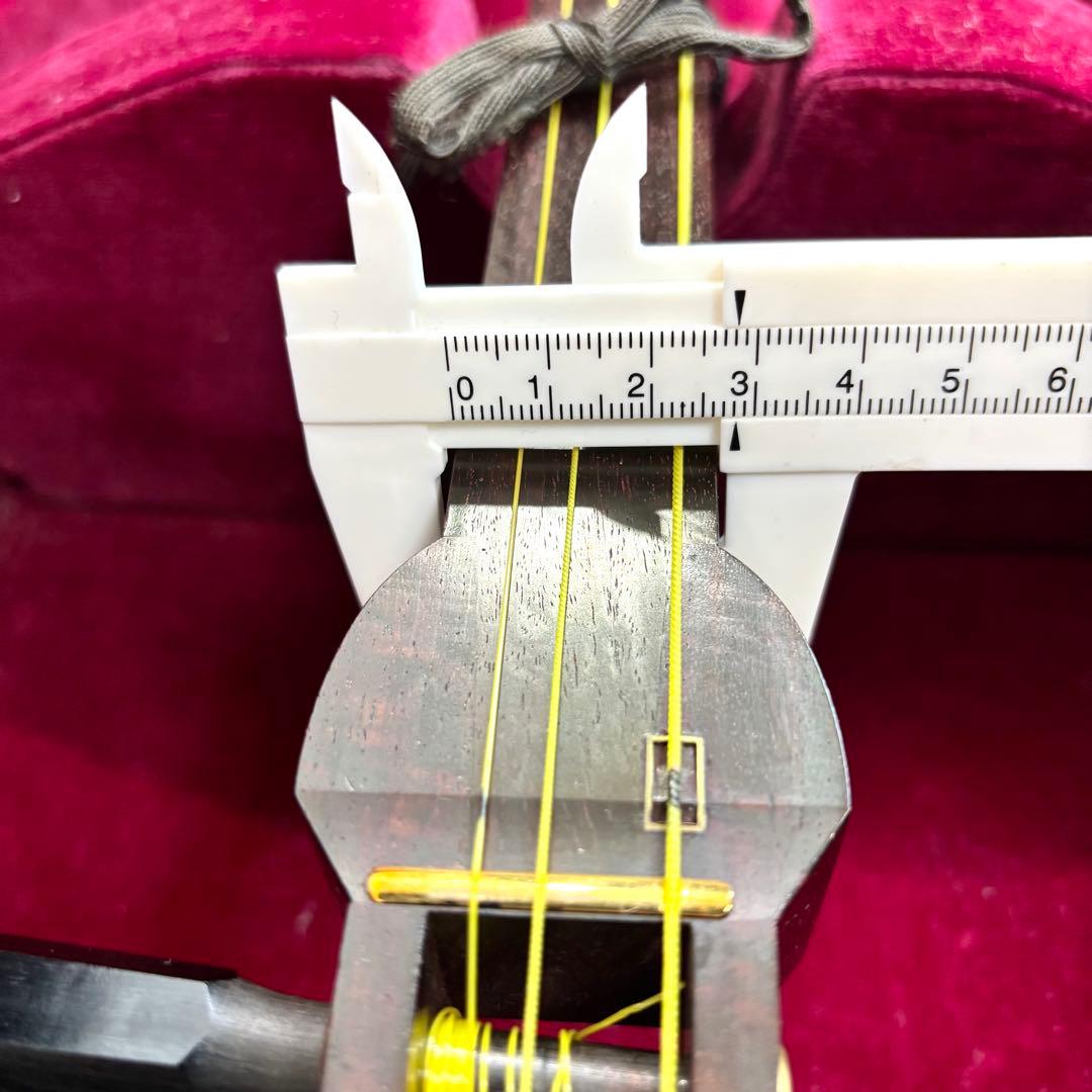 【皮破れあり】中棹　東さわり　地唄 民謡 トチ目　丸内胴　ケース付