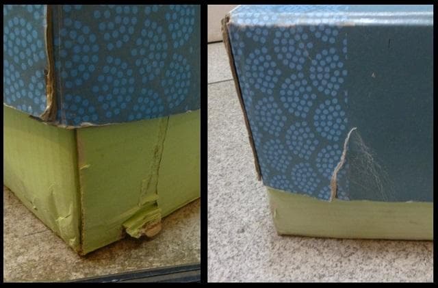 壊れ物ジャンク　ダイヤ鯉のぼり 黒鯉6m