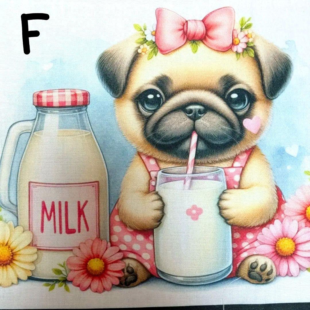 オーダー受付　パグ　MILK　ご予約ページ　1/18