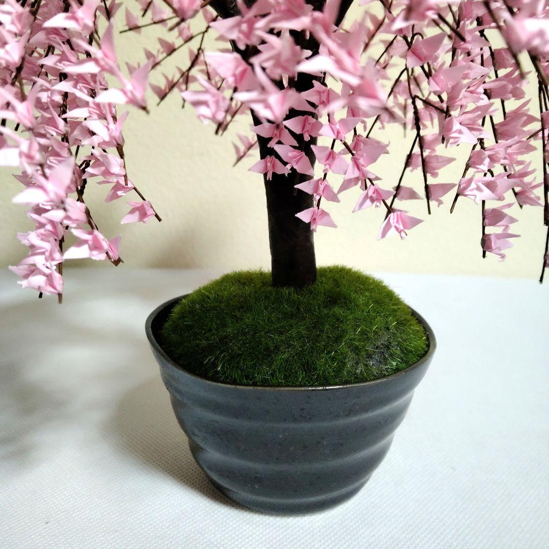 折り鶴盆栽(しだれ桜　盆栽)No.46