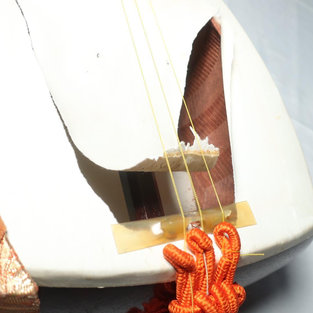 三味線 綾杉胴 中棹 二本溝 天然素材糸巻き ハードケース付 鼈甲 撥 付属