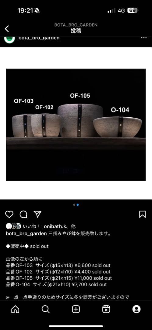 インボイス発行可 オペルクリカリア パキプス 幹幅10㎝ 発根済み 三州みやび