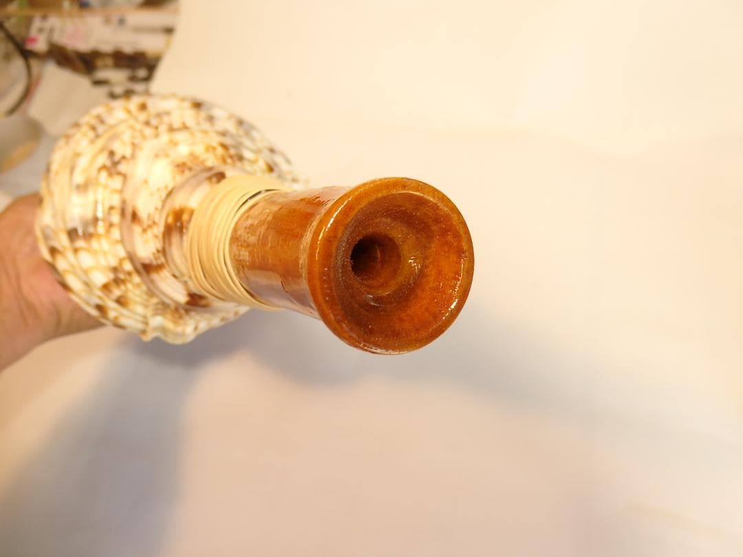 法螺貝 約33.5㎝ 木製歌口,新品 MH-457