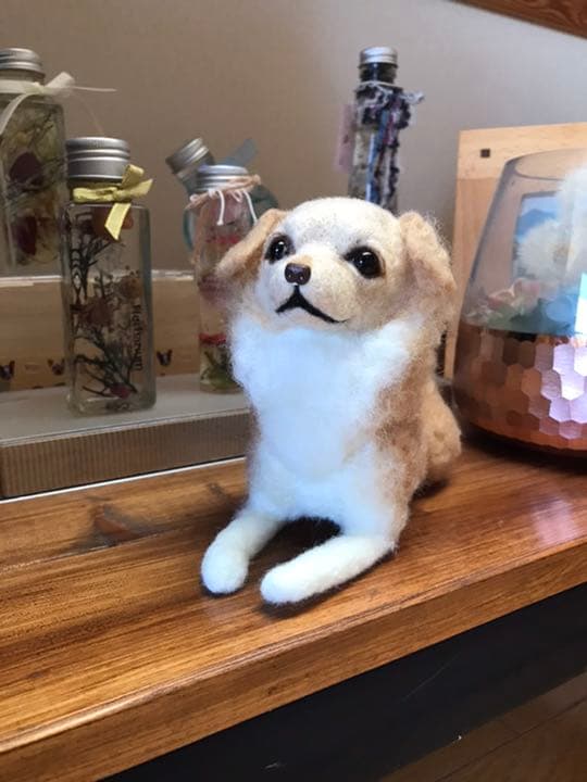 羊毛フェルト　チワックス