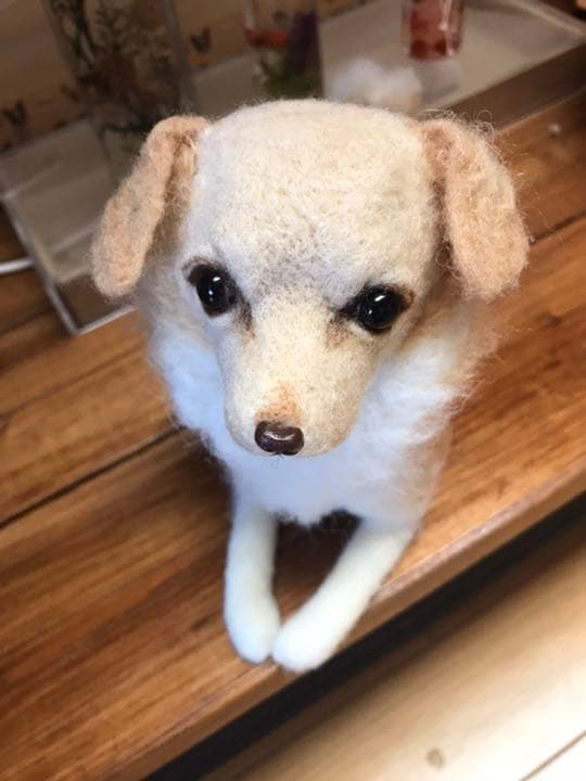 羊毛フェルト　チワックス