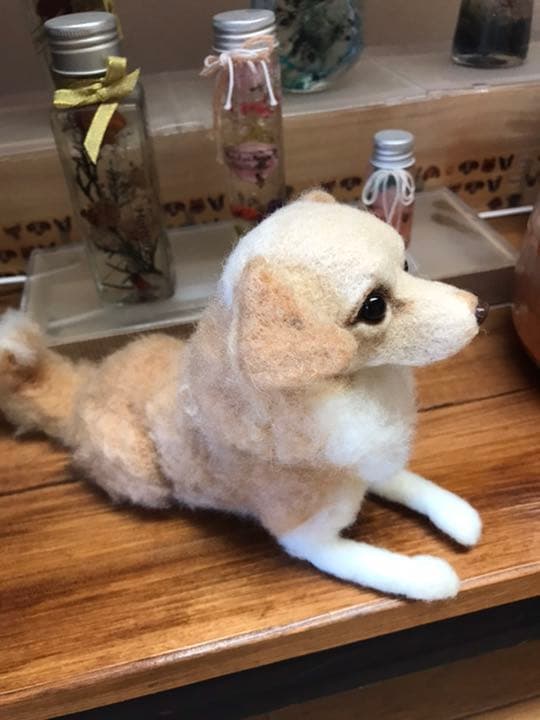 羊毛フェルト　チワックス