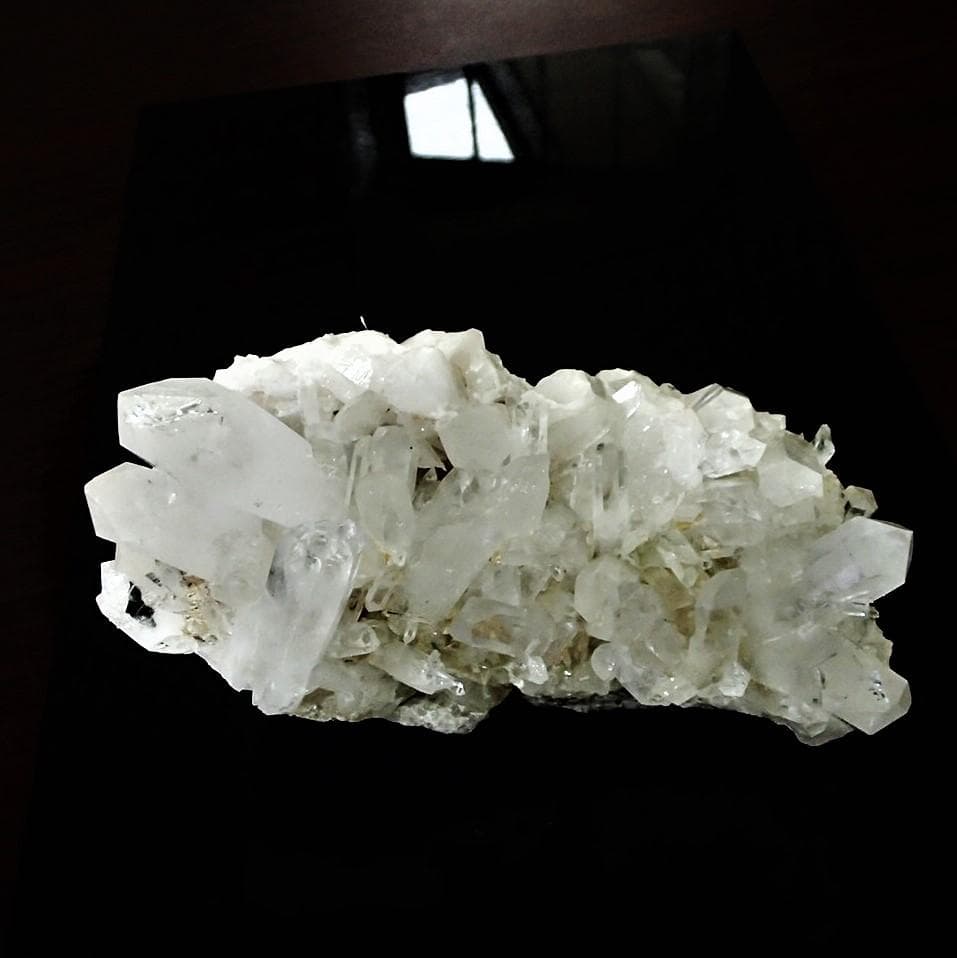 値下しました！ダーディン産クラスター610-1