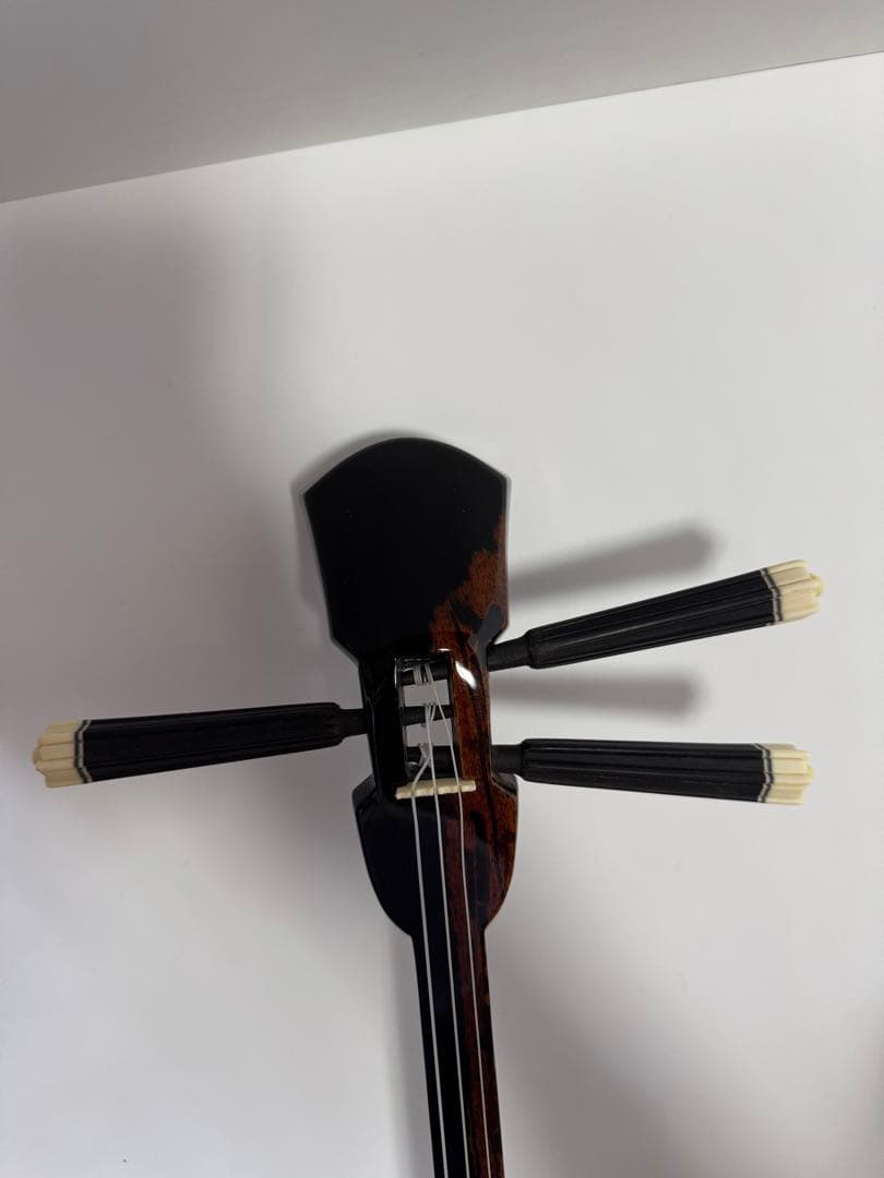 三線 蛇皮 真壁型 岸本尚登 ハードケースセット