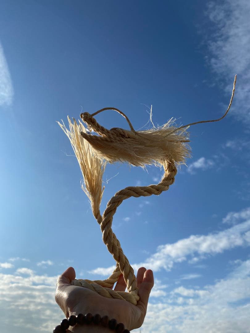 【オーダー受注】精麻龍 Sサイズご注文に注意⚠️オプションの有無で金額が変更します