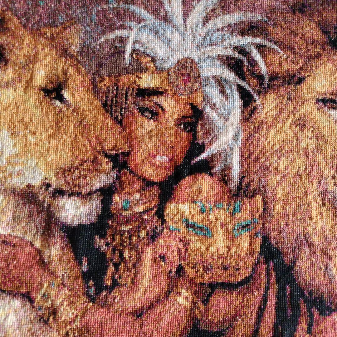 美女とライオンクロスステッチ完成品