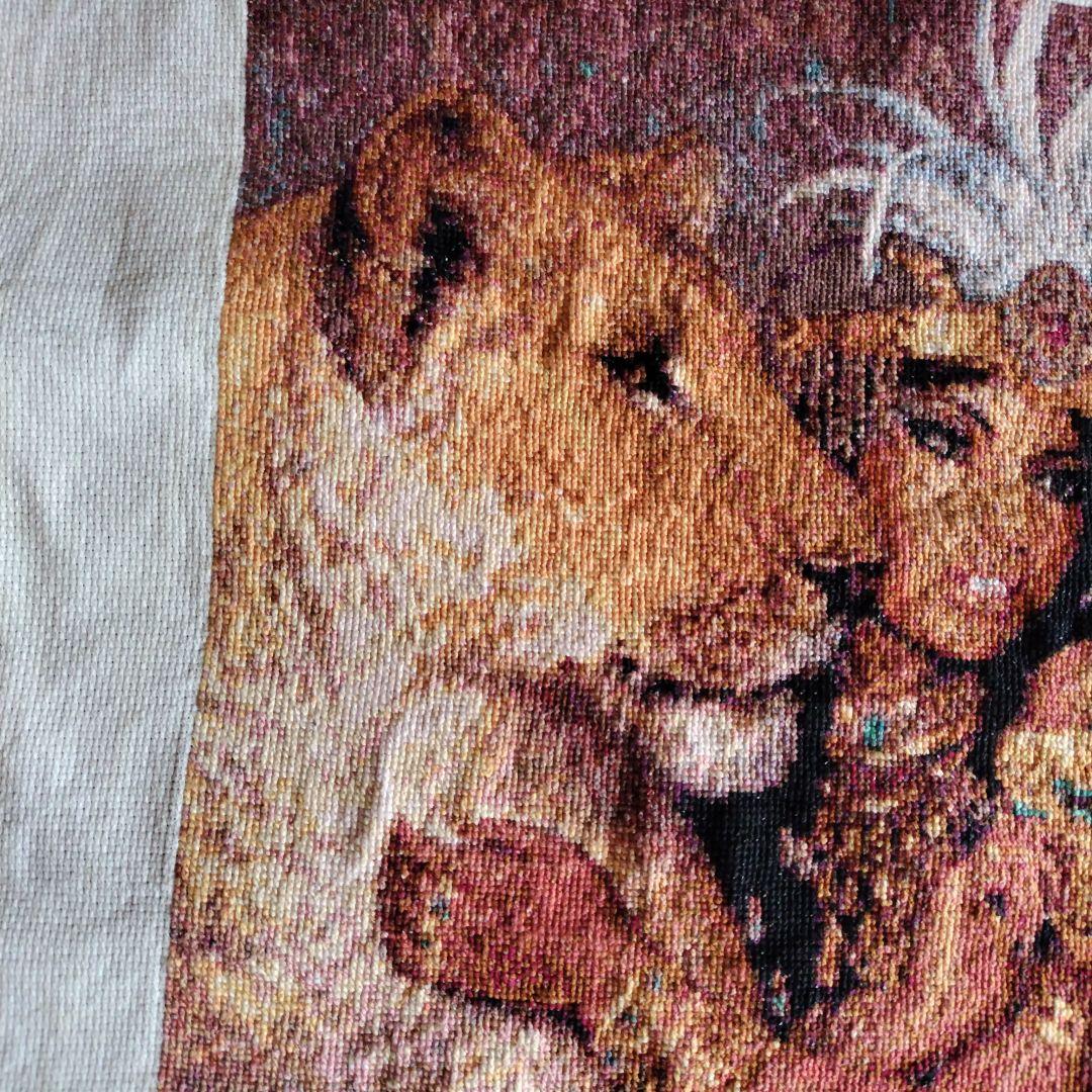 美女とライオンクロスステッチ完成品