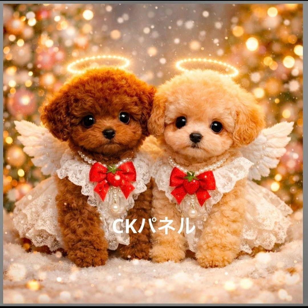 激レア天使ポメラニアン、柴犬、トイプー、マルチーズ、パグ、チワワパネル生地