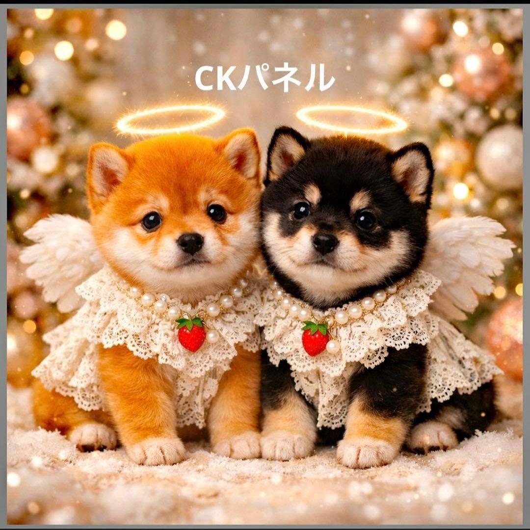 激レア天使ポメラニアン、柴犬、トイプー、マルチーズ、パグ、チワワパネル生地