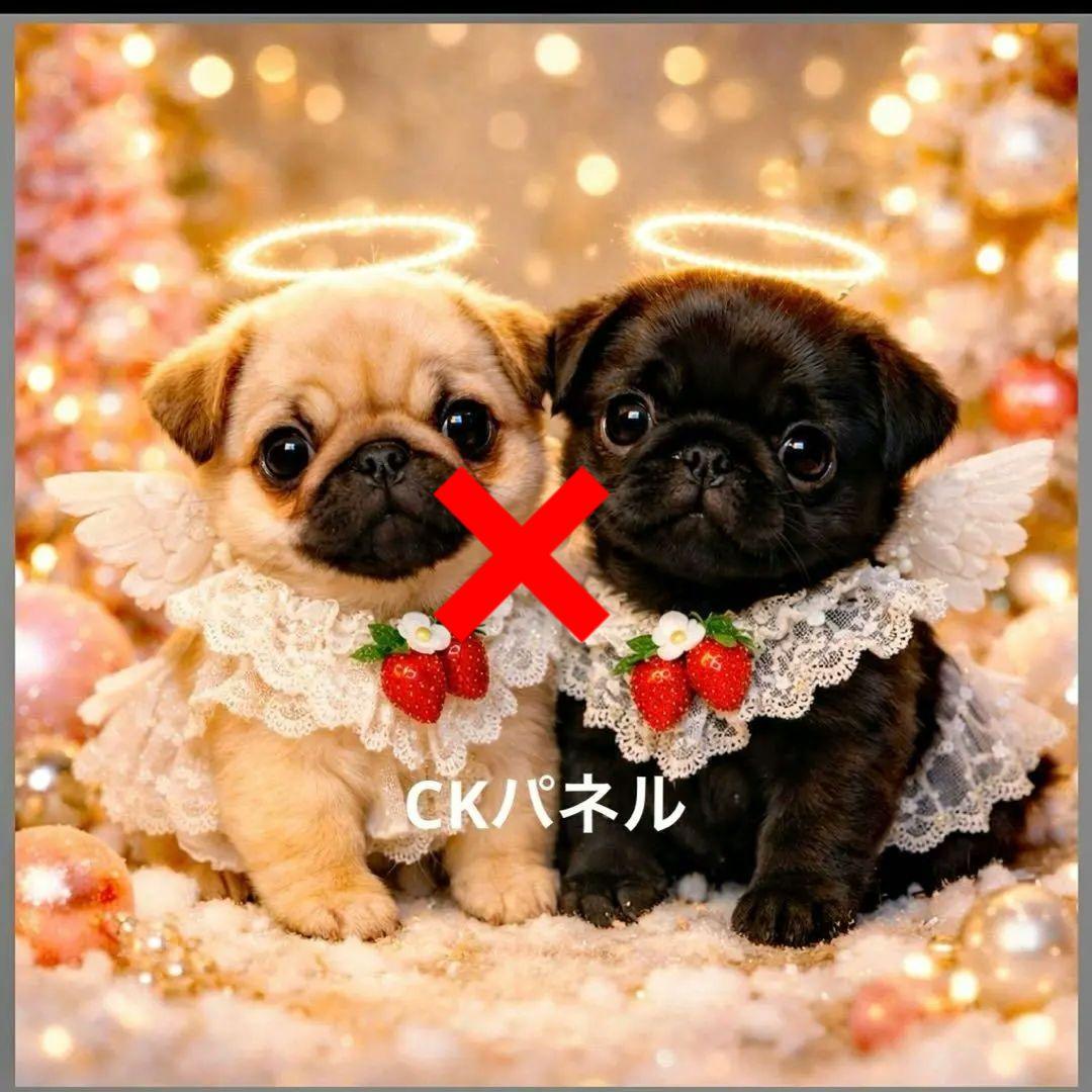 激レア天使ポメラニアン、柴犬、トイプー、マルチーズ、パグ、チワワパネル生地