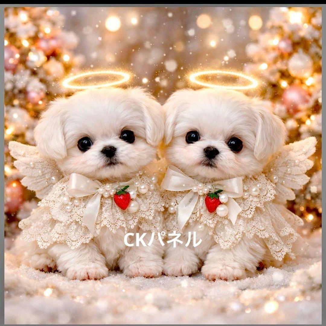 激レア天使ポメラニアン、柴犬、トイプー、マルチーズ、パグ、チワワパネル生地