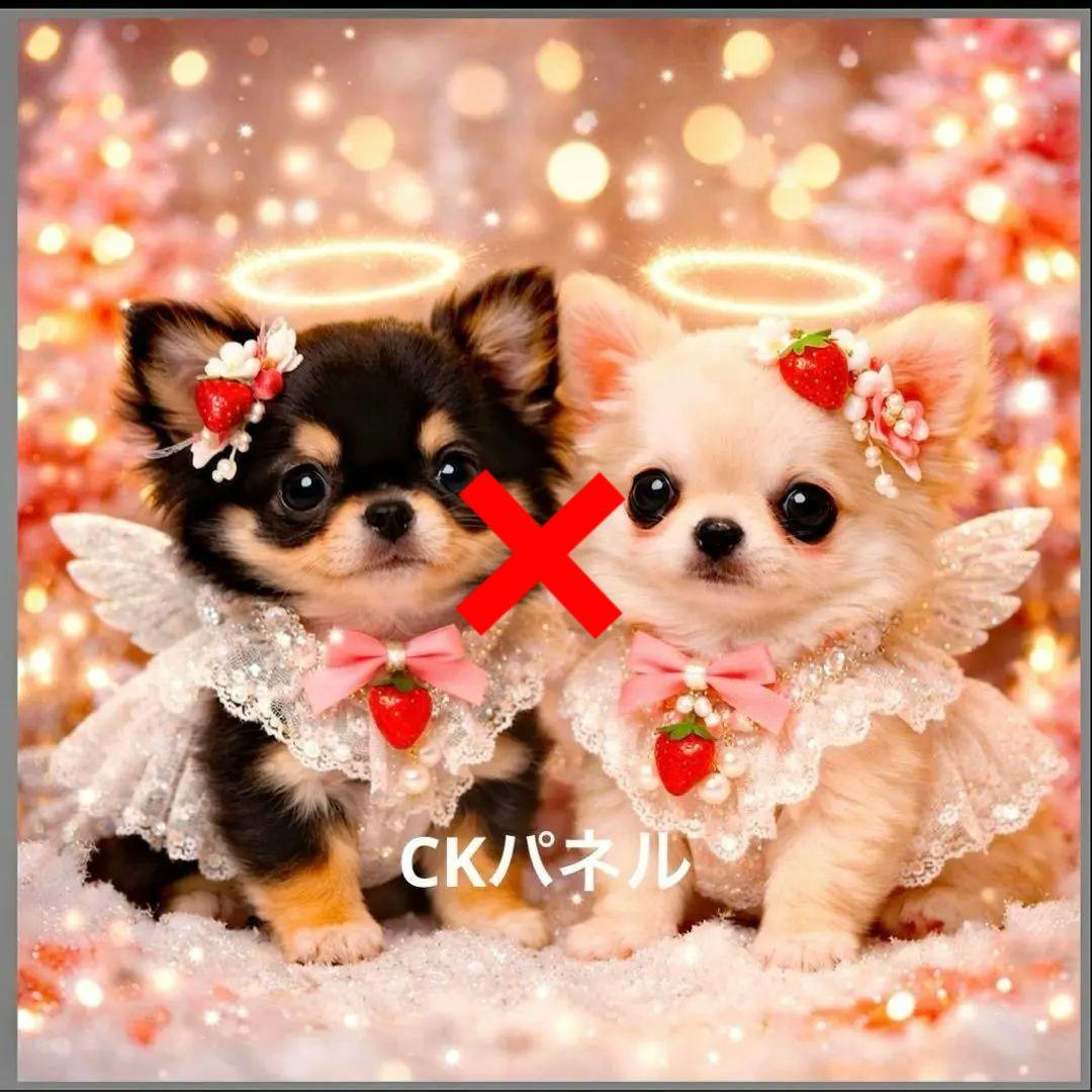 激レア天使ポメラニアン、柴犬、トイプー、マルチーズ、パグ、チワワパネル生地