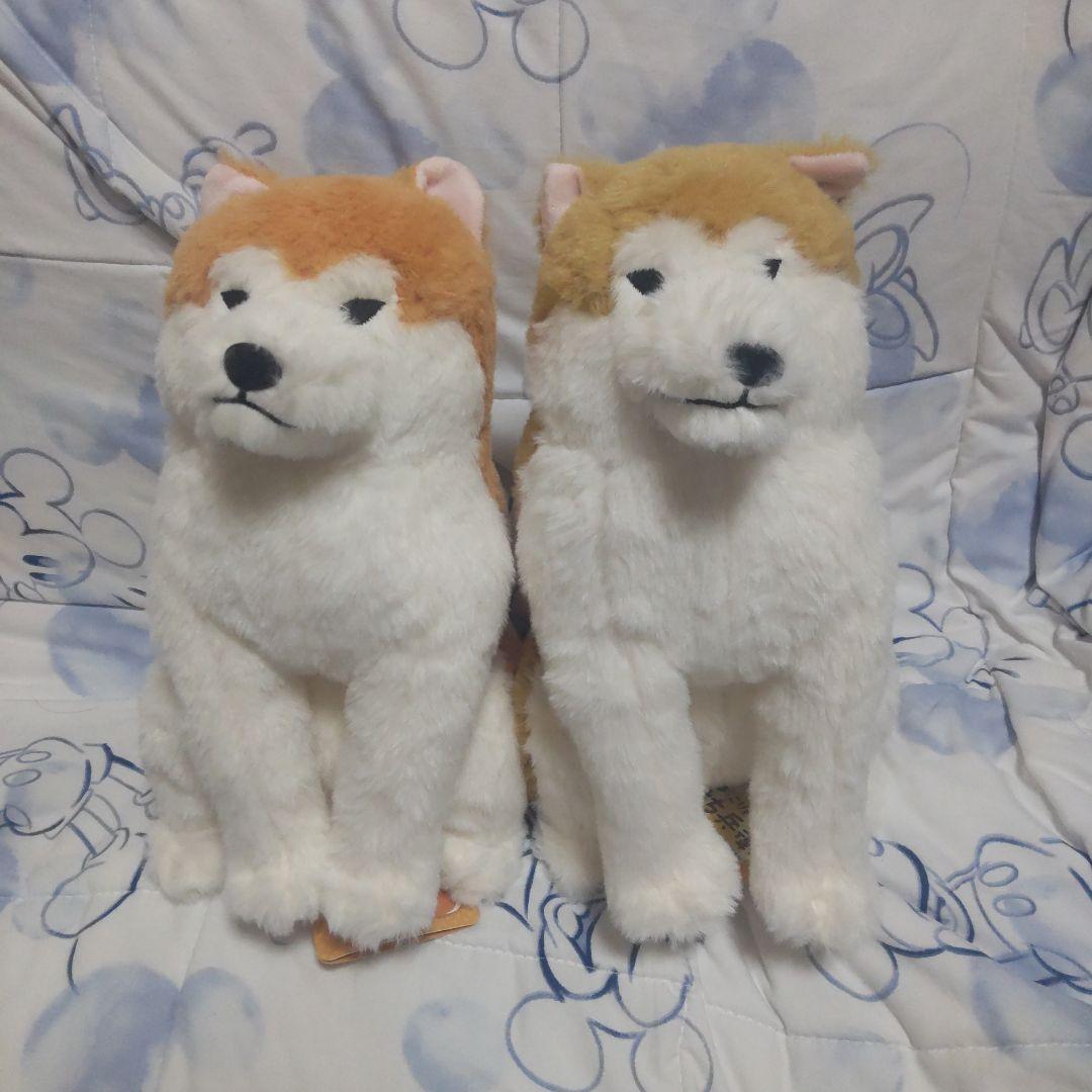 AMUFUN ほっこり秋田犬 はち兵衛＆ ぽかまるぬいぐるみ JB サイズ