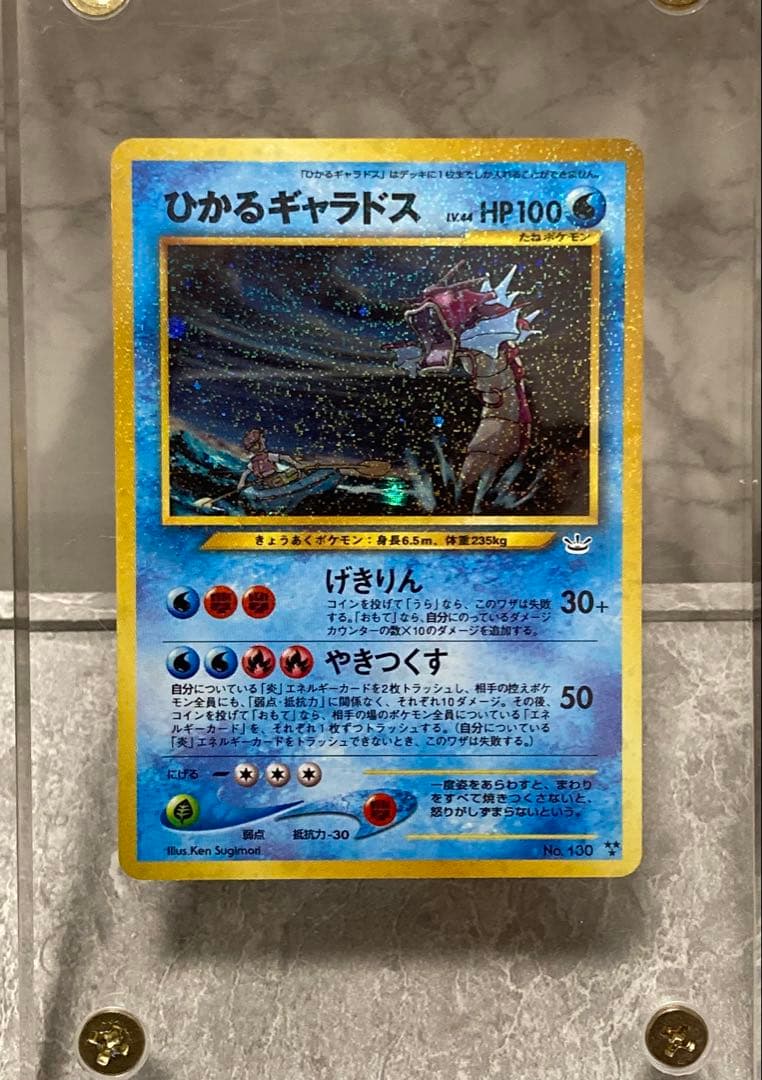 ひかるギャラドス HP100