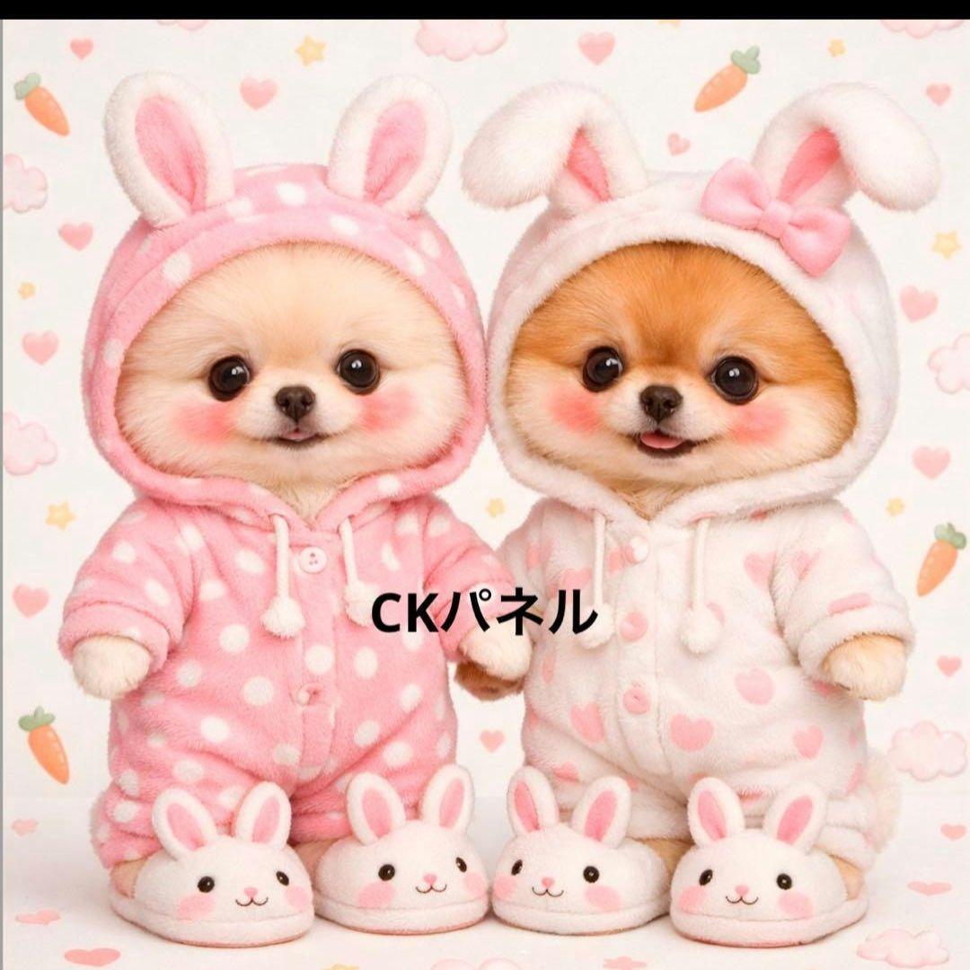 激レアいろんなポメラニアンパネル生地　ハンドメイド