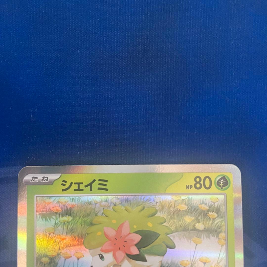 ロケット団のミュウツーex シェイミ 雷/水エネ CLプロモ4枚＋ステッカー1枚