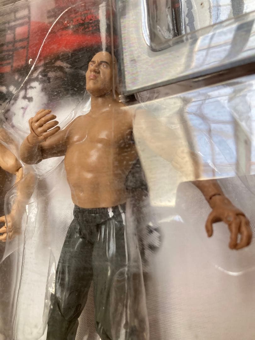 ハリウッド・ハルク・ホーガン× ザ・ロック　WWEスーパースターフィギュア