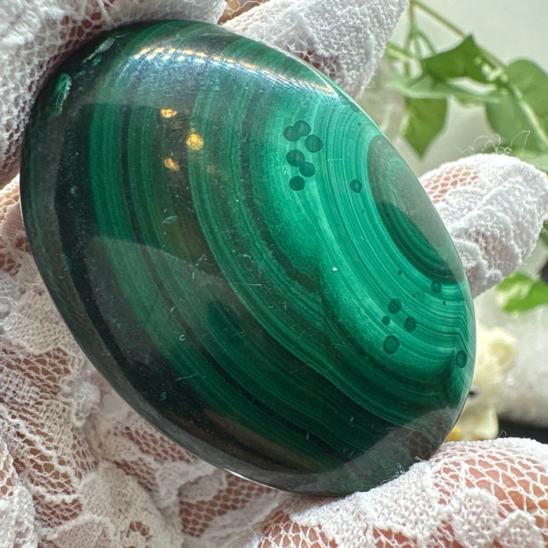 マラカイトパームNo.876