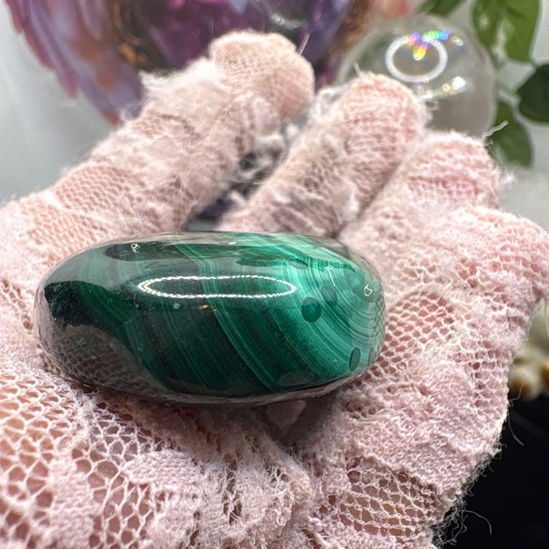 マラカイトパームNo.876