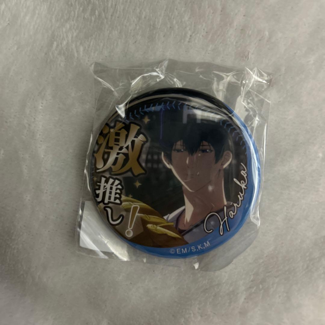 忘却バッテリー 清峰葉流火くん 缶バッジ - メルカリ