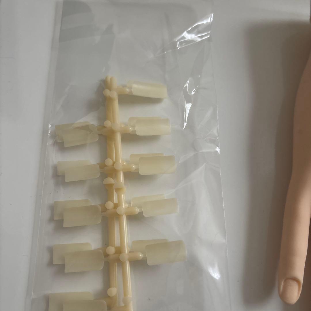 JNEC認定モデルハンド　両手　未開封付属チップ付き