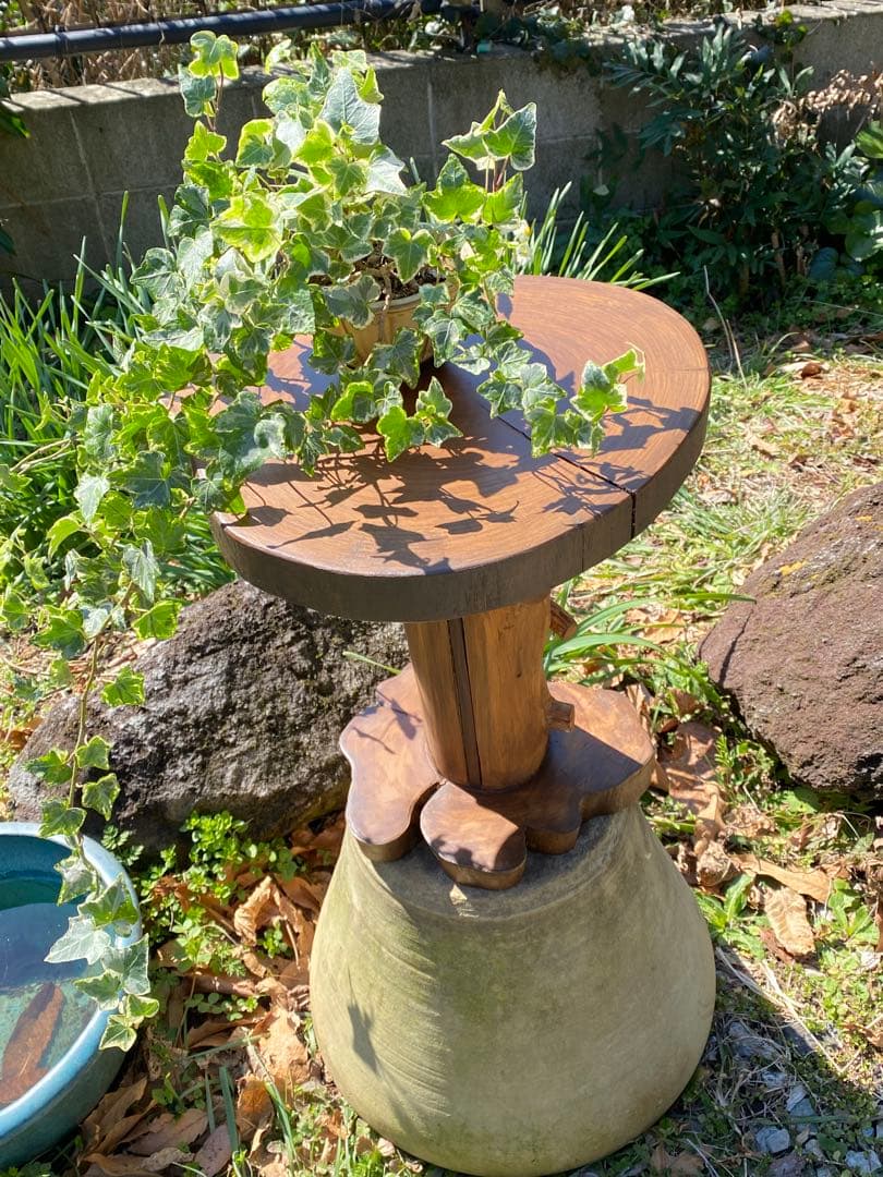 木製 自然形状 テーブル 観葉植物スタンド スツール