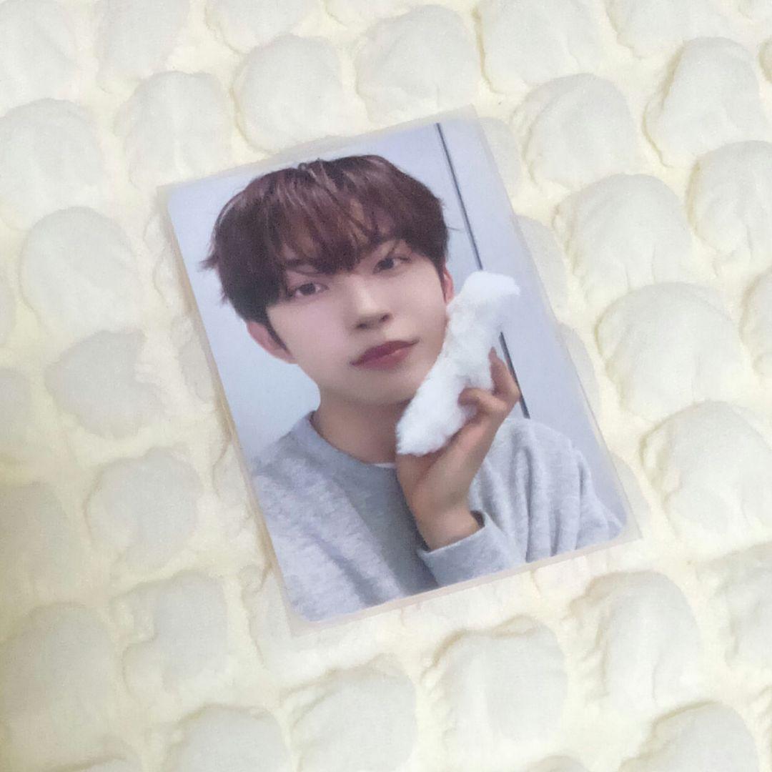 ALD1 ゴヌ トレカ - メルカリ