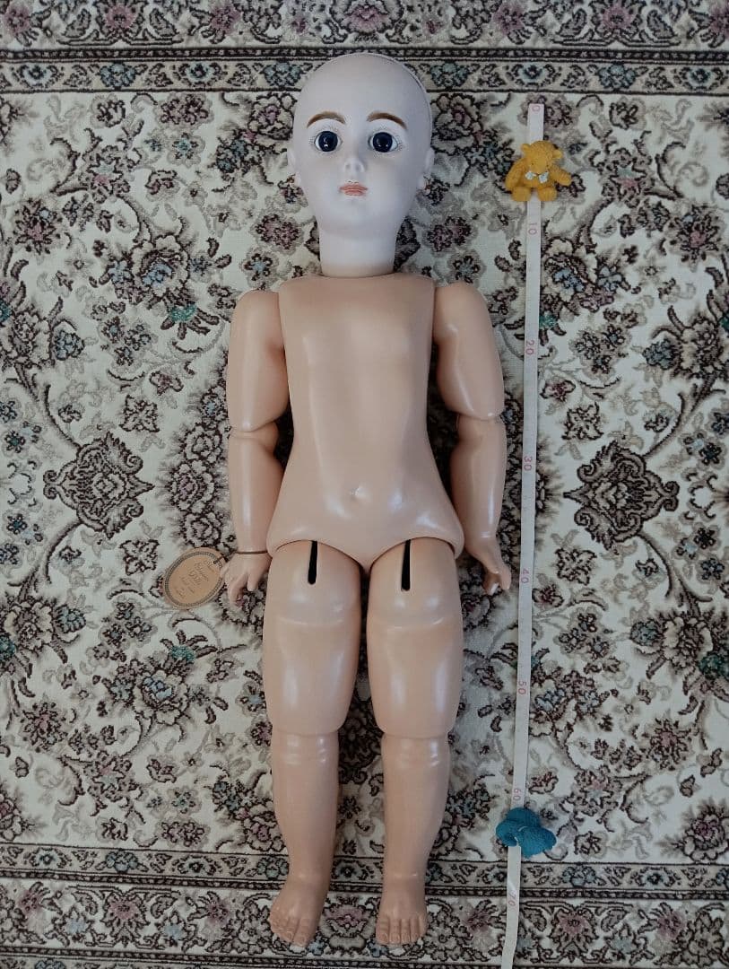 めりこ　❤️大きな子が好きな貴方に　瞳の綺麗なジュモーを❤️