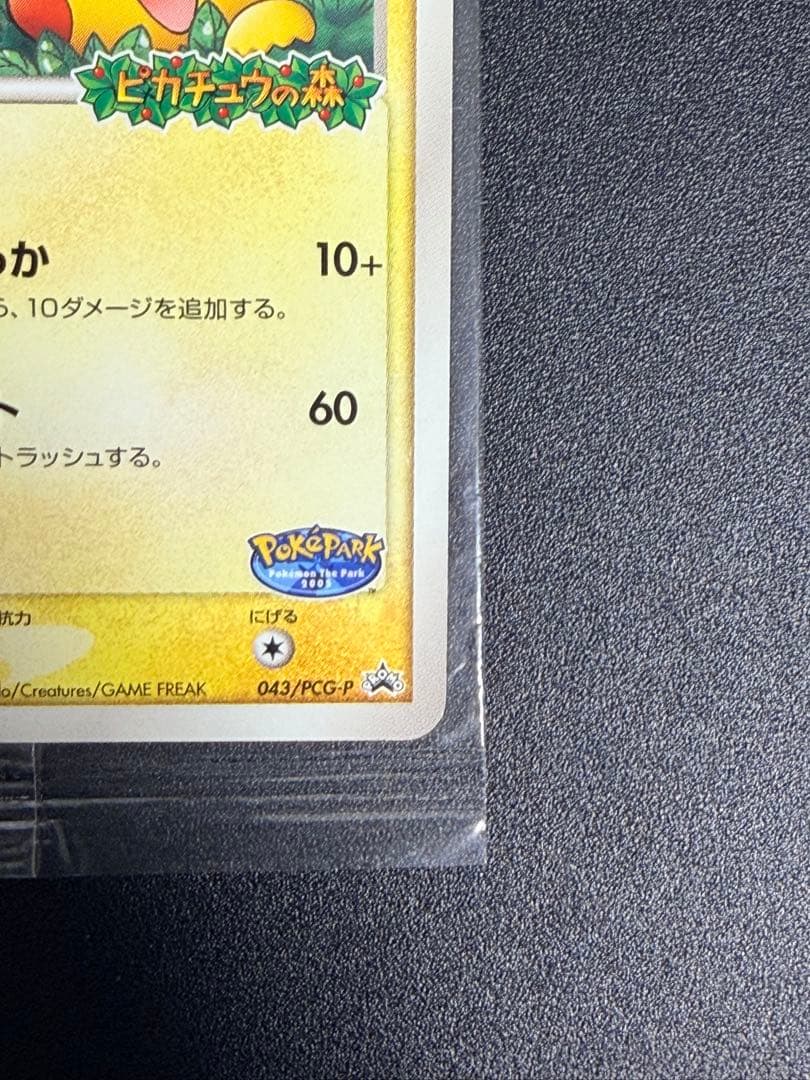未開封』ポケパークのピカチュウ ピカチュウの森（2005年） ポケモン