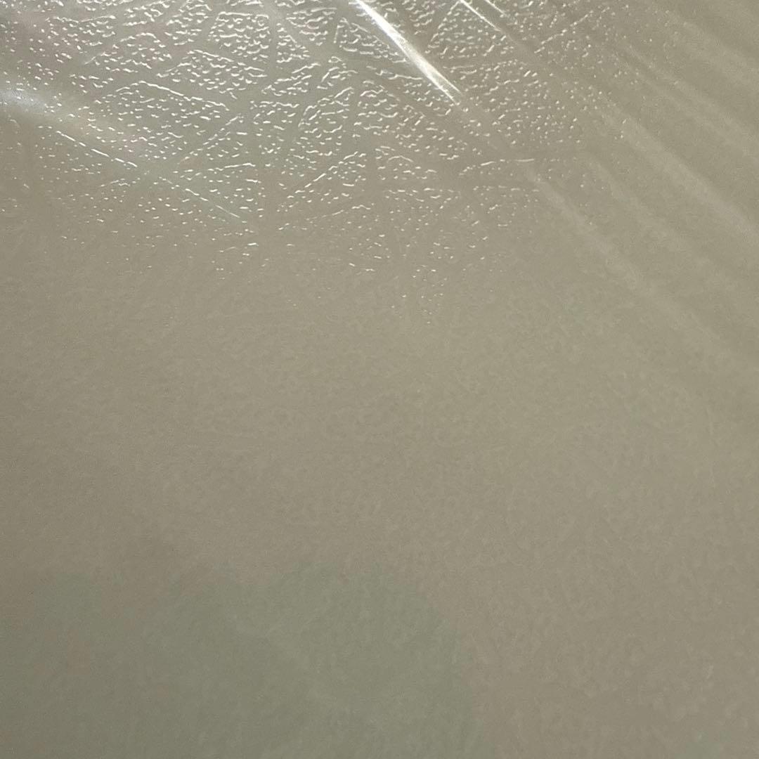 ⭐️新品⭐️グラスアート限定フィルム　透明ホワイト系　10枚セット