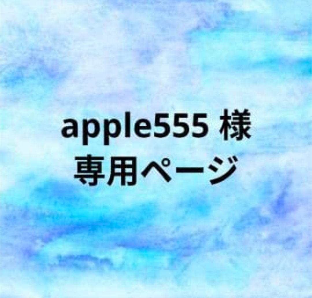 apple555ページ